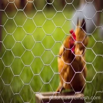 Garden Garden Chicken Heksagonal Drut siatkowy